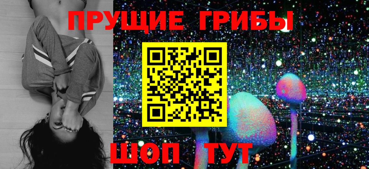 Псилоцибиновые грибы ЛСД Барабинск