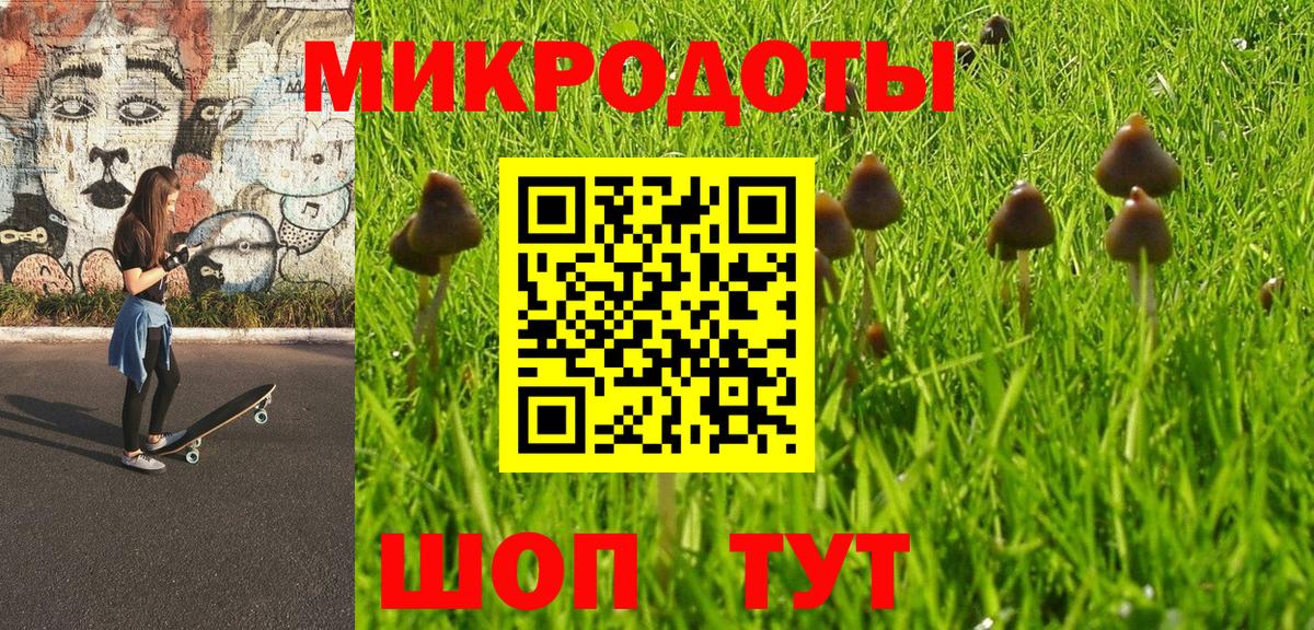 Барабинск  Псилоцибиновые грибы мухоморы  Вход с VPN 